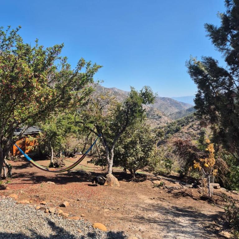 Hermosa y acogedora cabaña de montaña - Chalet de 1 dormitorio - 53