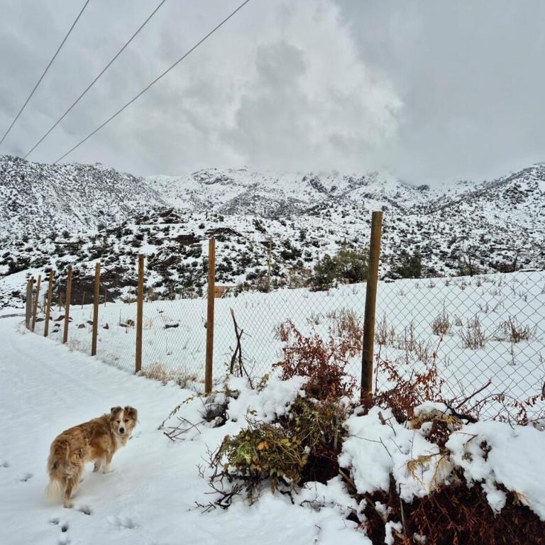 Hermosa y acogedora cabaña de montaña - Chalet de 1 dormitorio - 54