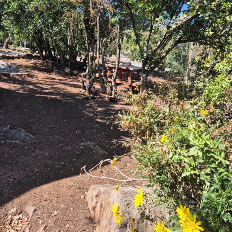 Hermosa y acogedora cabaña de montaña - Chalet de 1 dormitorio - 55