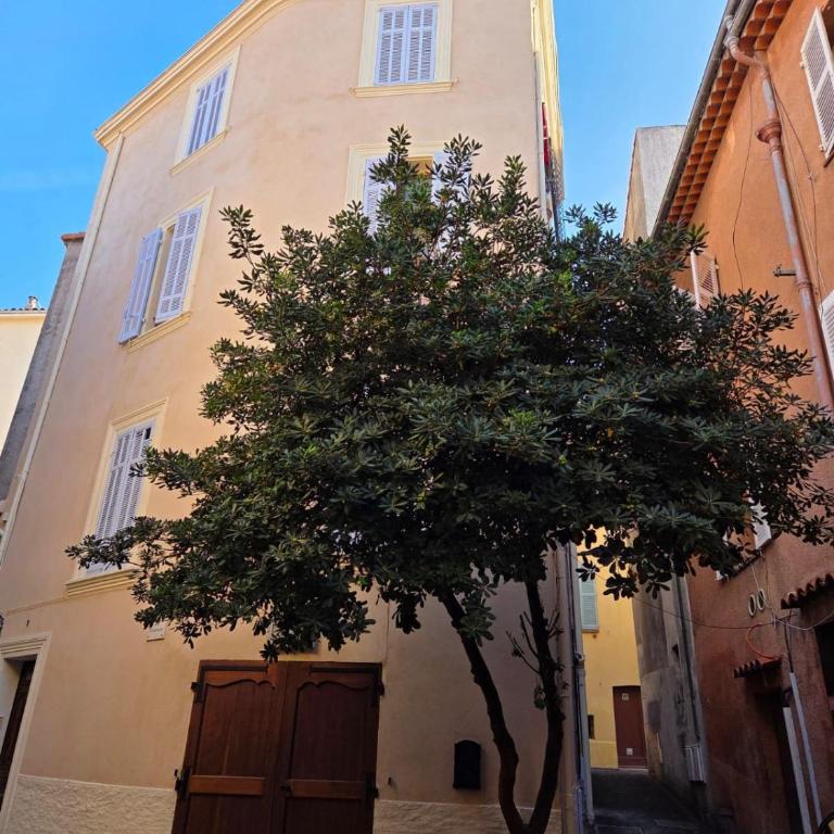 Côté Vieil Antibes - Studio Deluxe - 11