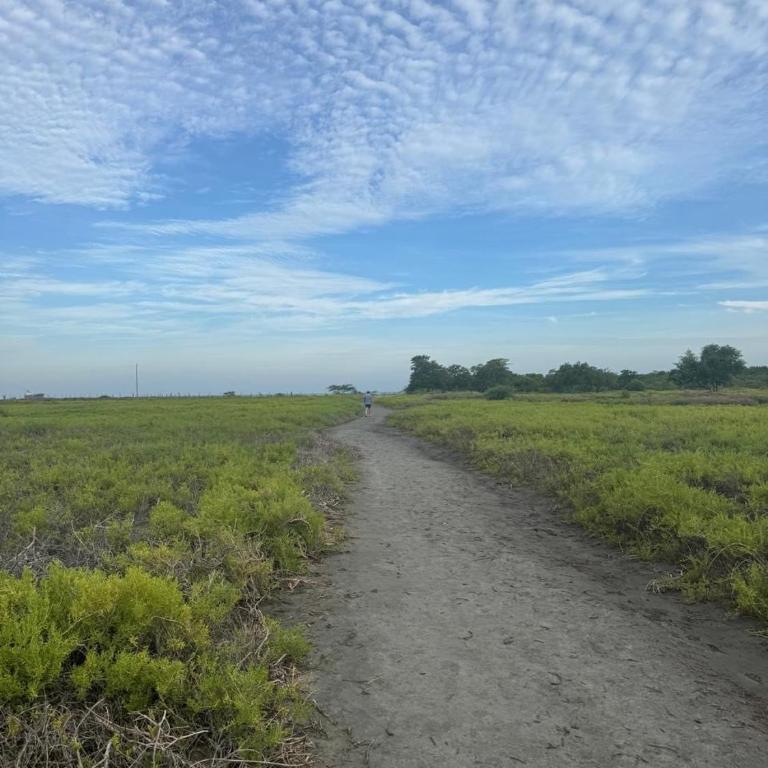 Vacaciones y descanso en Santa Marta - Apartamento de 1 dormitorio - 53
