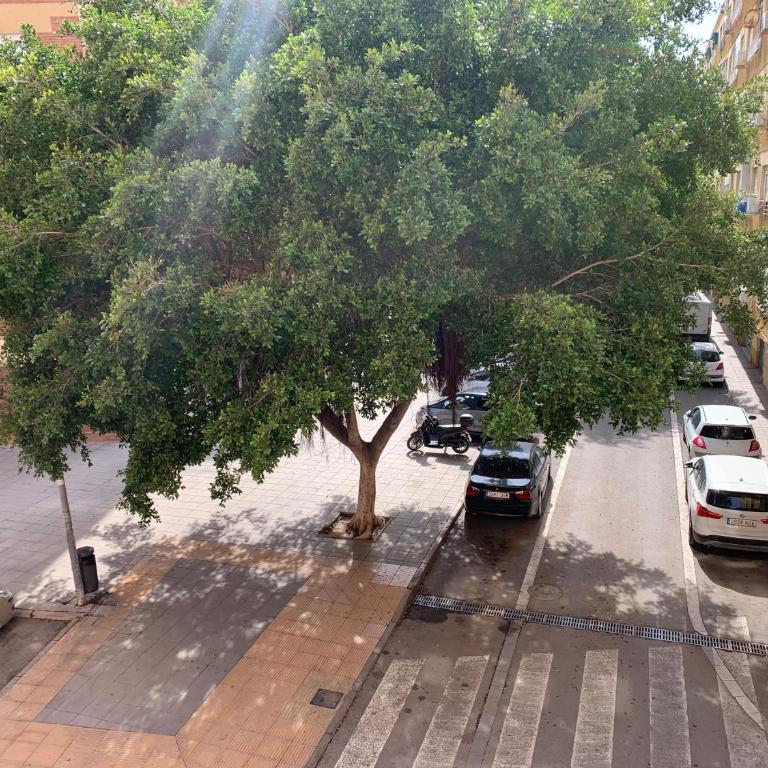 VM Sun & Beach - Apartamento de 3 dormitorios - 24