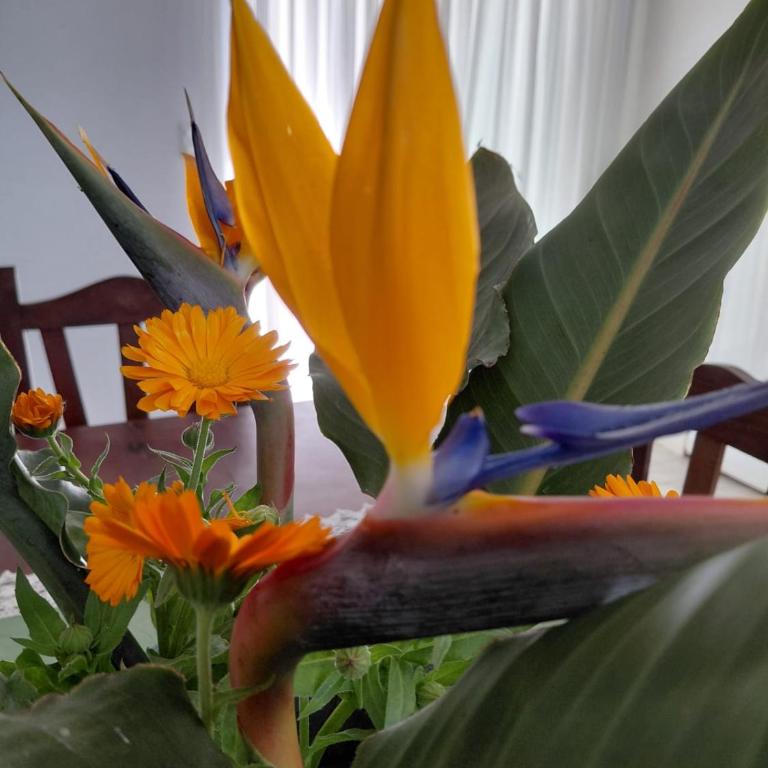 Coral Sur - Casa Unifamiliar de 3 dormitorios - 2