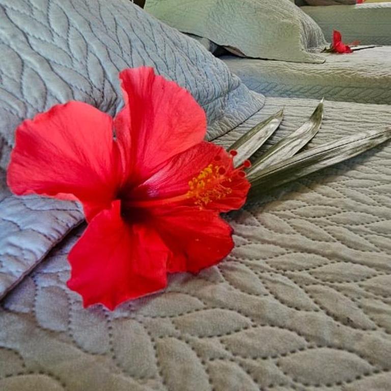 Cabañas Koreto - Casa con 1 dormitorio - 5