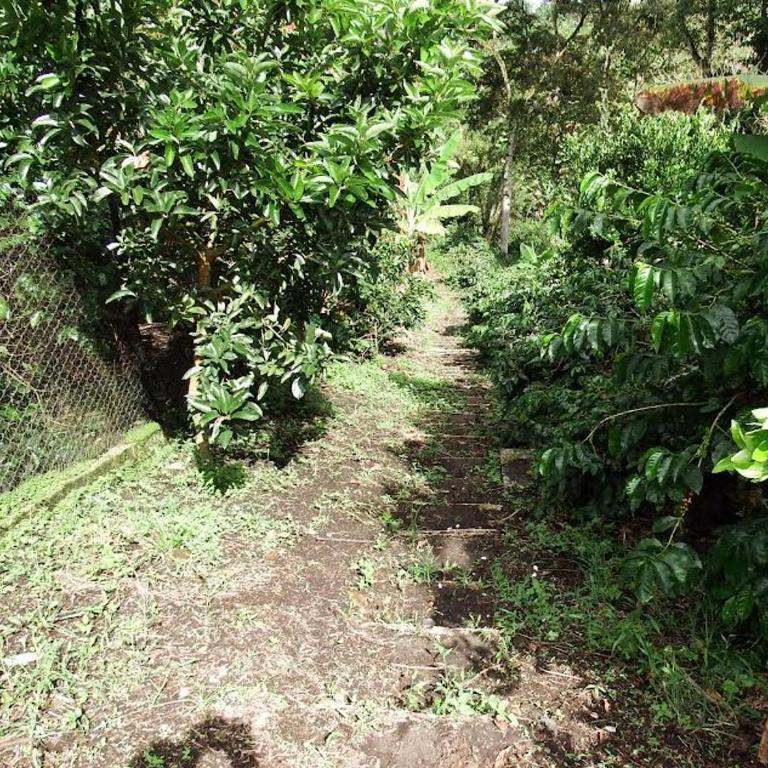 Finca la Albania - Casa de 2 dormitorios - 2