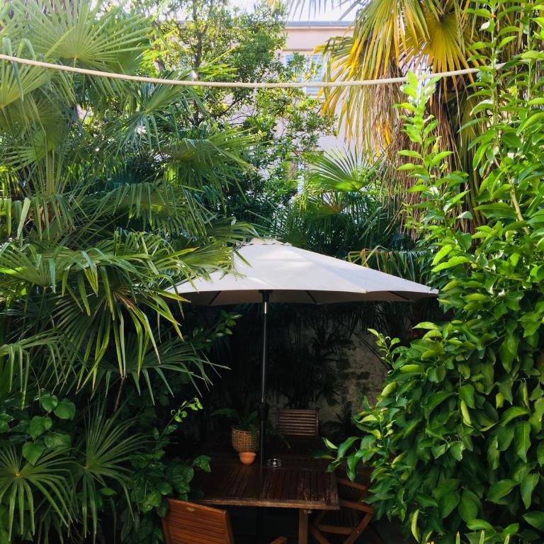 Palmera - Studio Apartment - 42