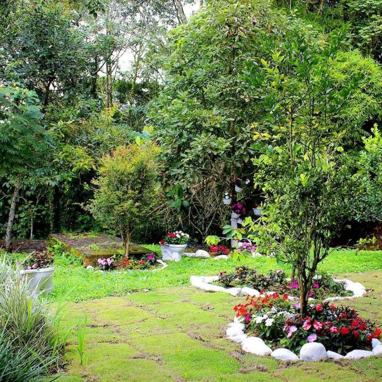 Hostal Wayare Filandia - Casa de 5 dormitorios - 16