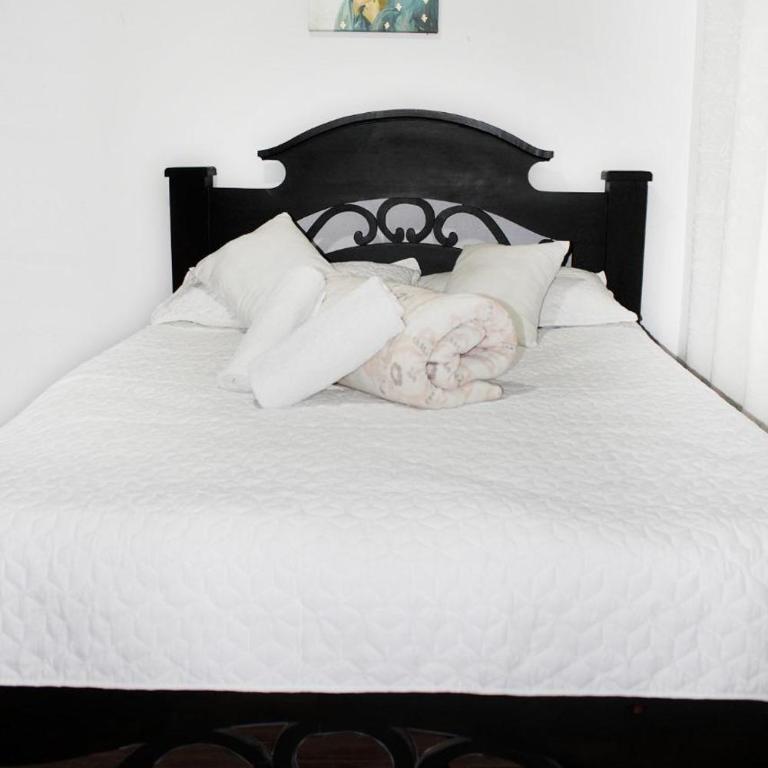 Hostal Wayare Filandia - Casa de 5 dormitorios - 19