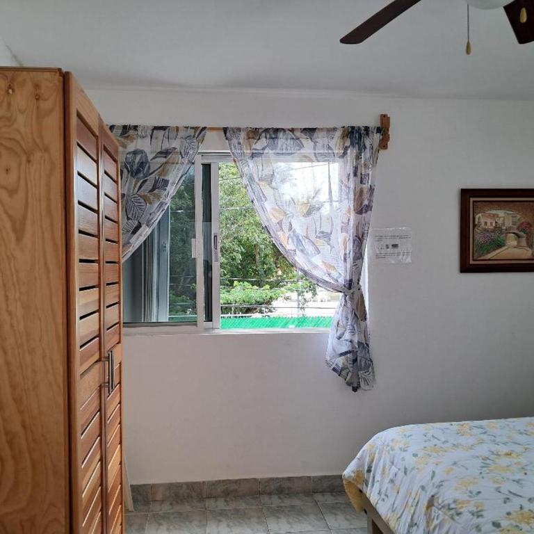 Estudio Coatí Azul en la Isla de Cozumel en el Caribe - Estudio con cama extragrande - 5
