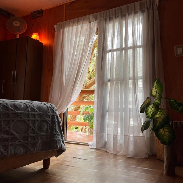 Brotó del fuego - Casa con 1 dormitorio - 10