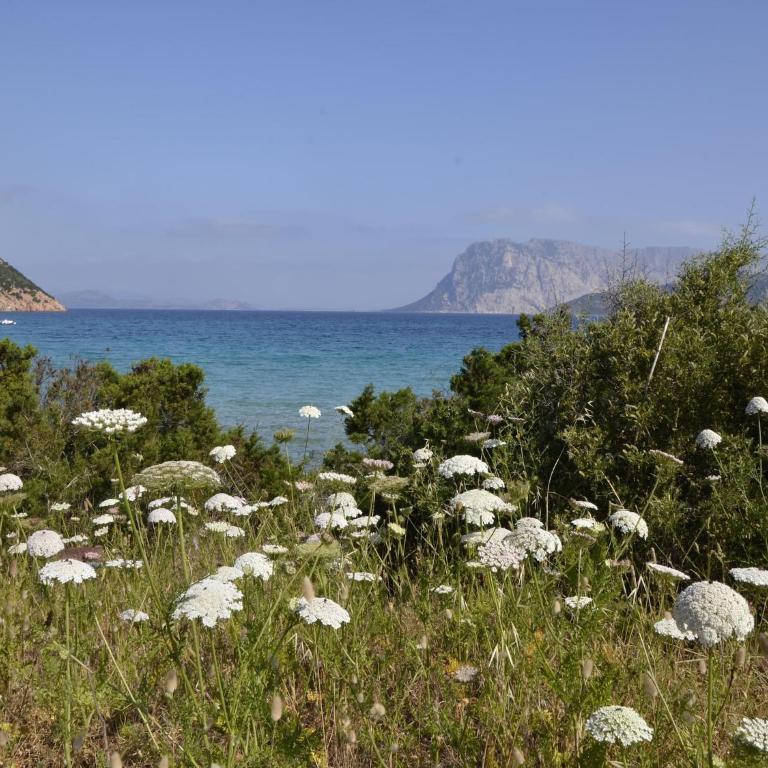 Comfortable apartment near Budoni - Appartamento con 2 Camere da Letto - 19