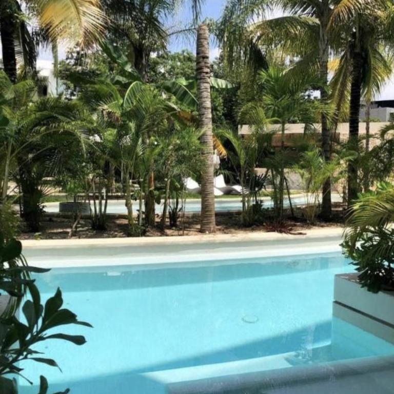 Luxury Studio SwimUp With Pool la Veleta Tulum - One-Bedroom Apartment - 5