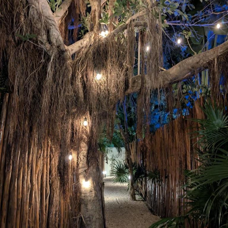 Tulum Villa 2 albercas 4hab hasta 16 personas 10min playa - Villa - 28