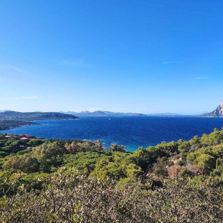 Cosy apartment by sea near Budoni - Appartamento con 2 Camere da Letto - 31