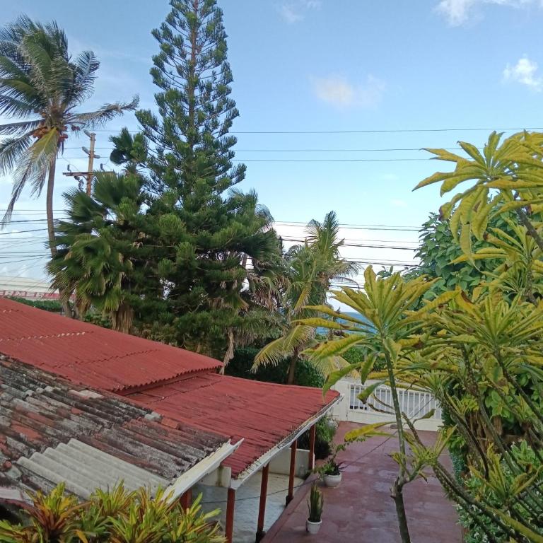 Aptos Miss Ada - Apartamento de 1 dormitorio - 4