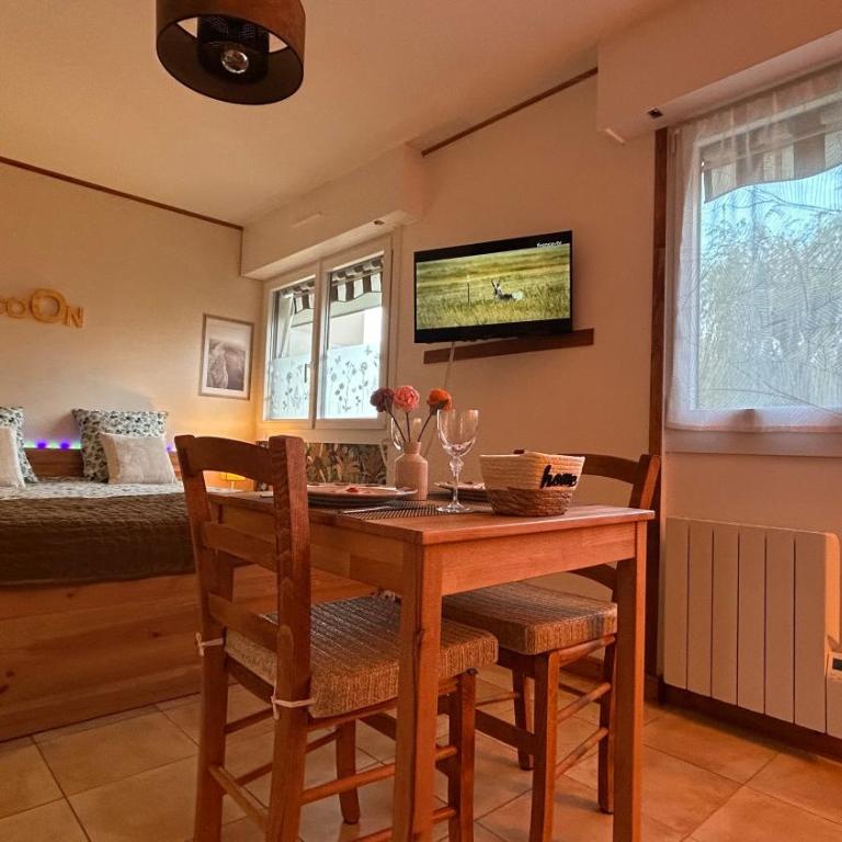 Vue montagnes, à 5 mn du lac et de la piste cyclable,lit King size, Park gratuit - Appartement 1 Chambre - 11