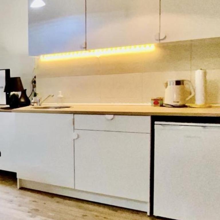 Center Belgrade - One-Bedroom Apartment - 7