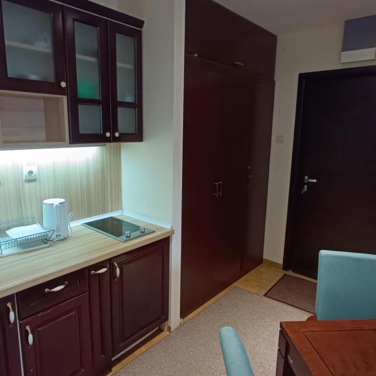 Vila Mecava Centar - One-Bedroom Apartment - 10