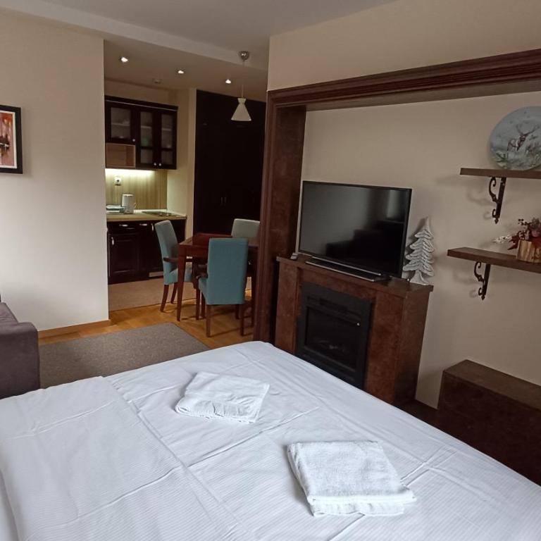 Vila Mecava Centar - One-Bedroom Apartment - 5