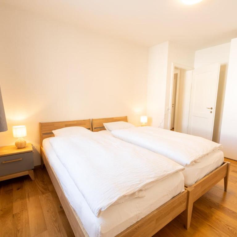 Charming Apartment in St Moritz - Apartment - 2