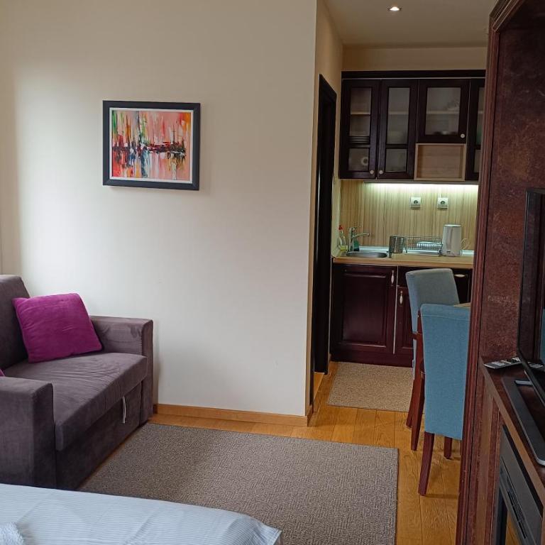 Vila Mecava Centar - One-Bedroom Apartment - 6