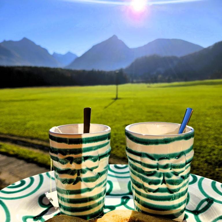 Lippingergut - "Die Geliebte des Kaisers" - Two-Bedroom Apartment with Mountain View - 15