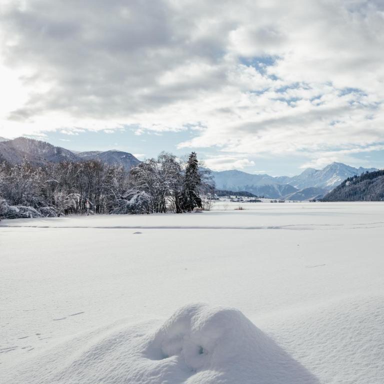 Silent Luxury Chalet LAIET - Two-Bedroom Chalet - 41