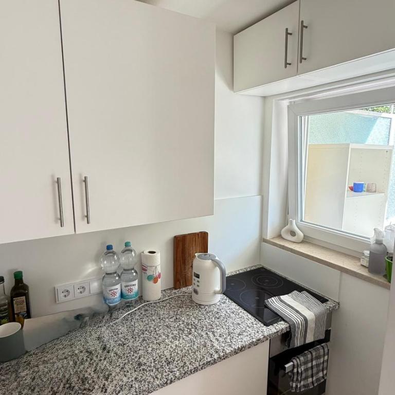 Bright Studio with Private Terrace near Nymphenburg Castle - Apartamento de 1 dormitorio - 7