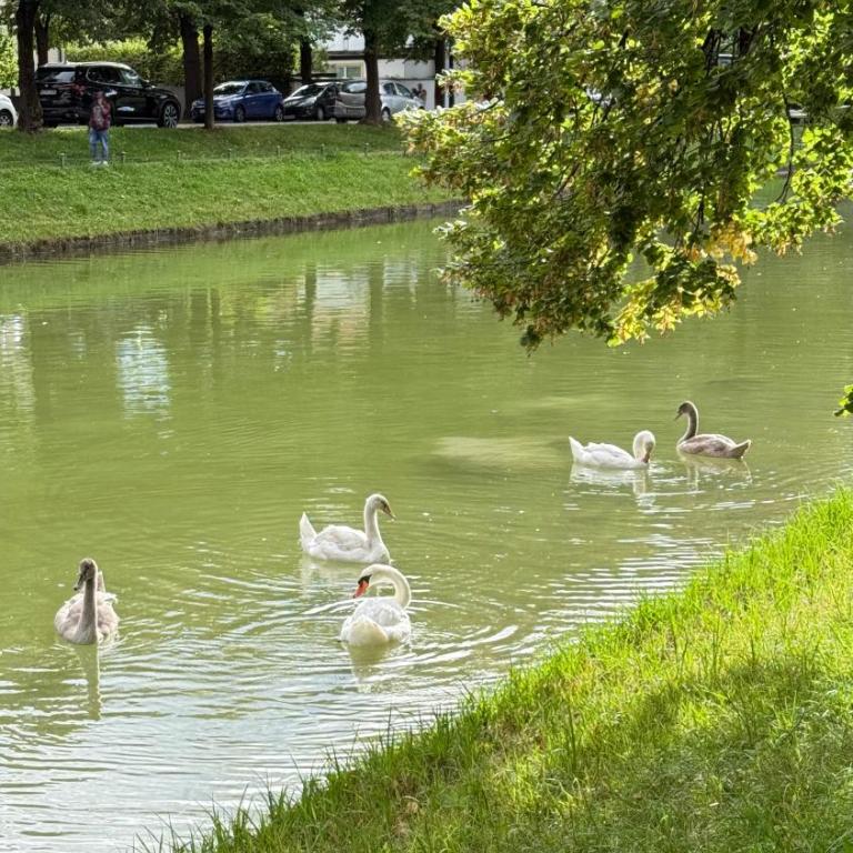 Bright Studio with Private Terrace near Nymphenburg Castle - Apartamento de 1 dormitorio - 11