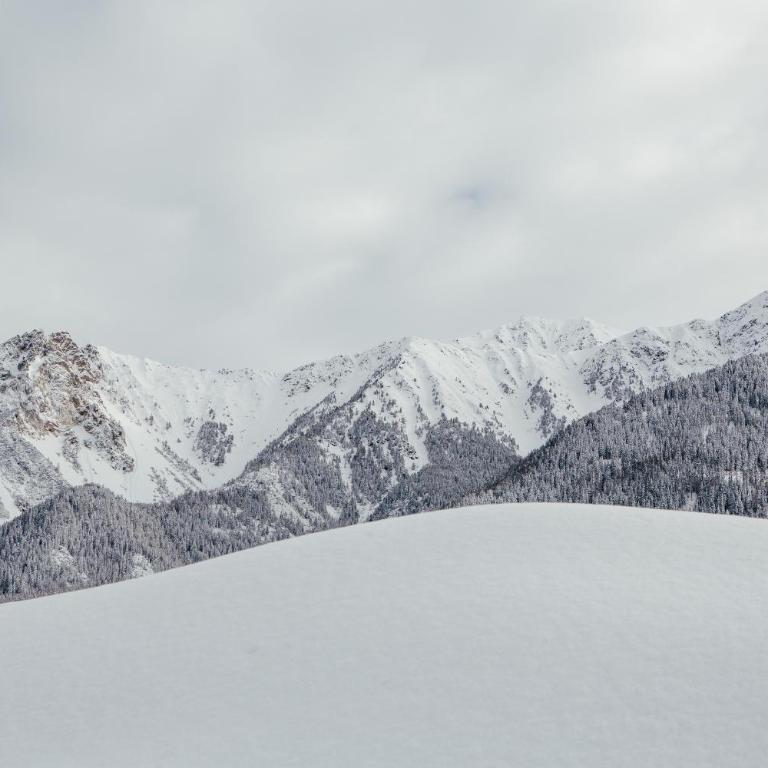 Silent Luxury Chalet LAIET - Two-Bedroom Chalet - 50