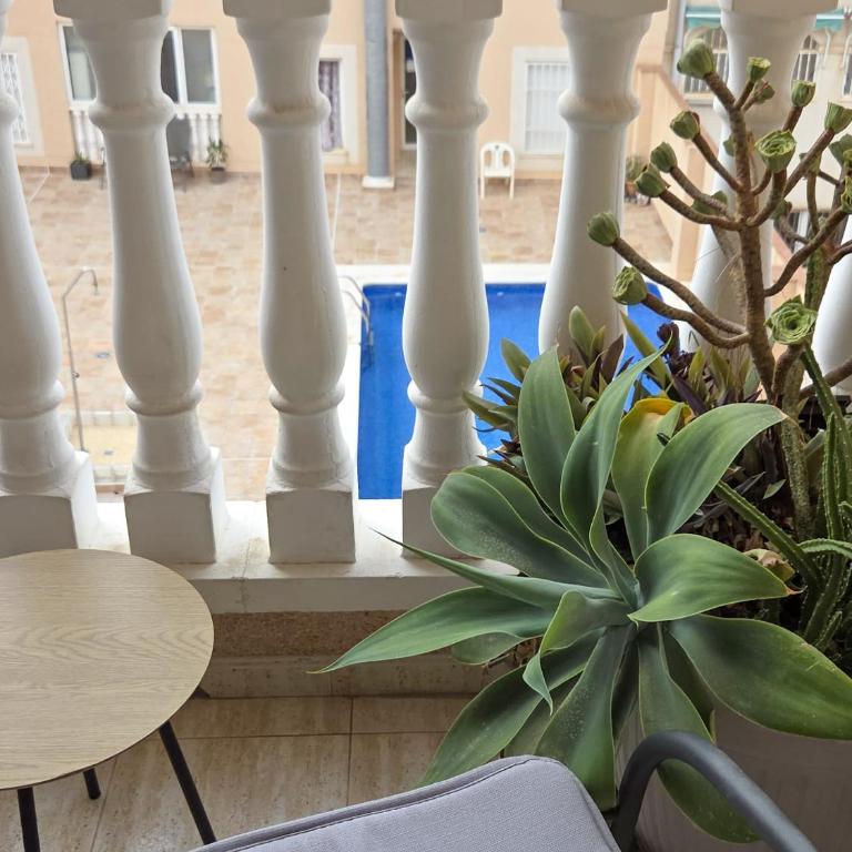 Oro del Sol 73 - Apartamento de 1 dormitorio - 23