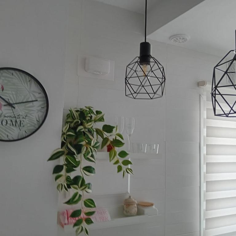 Apartamento con encanto en el corazón de la ciudad - Apartamento de 2 dormitorios - 5