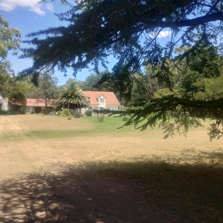 La Tramontana - Casa con 1 dormitorio - 4