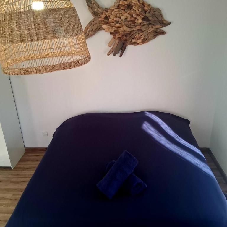 Le Repaire Secret, studio cosy et calme Narbonne - Appartamento con Vista Giardino - 7