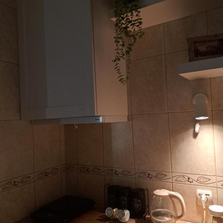 Wolf Belgrade - One-Bedroom Apartment - 35