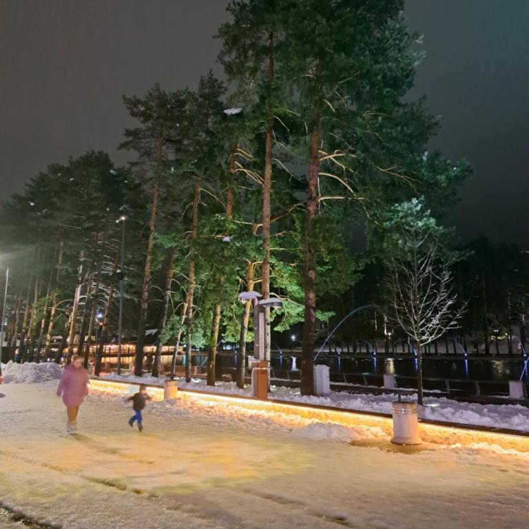 Apartman Positiv Zlatibor Lux & Spa - One-Bedroom Apartment - 37