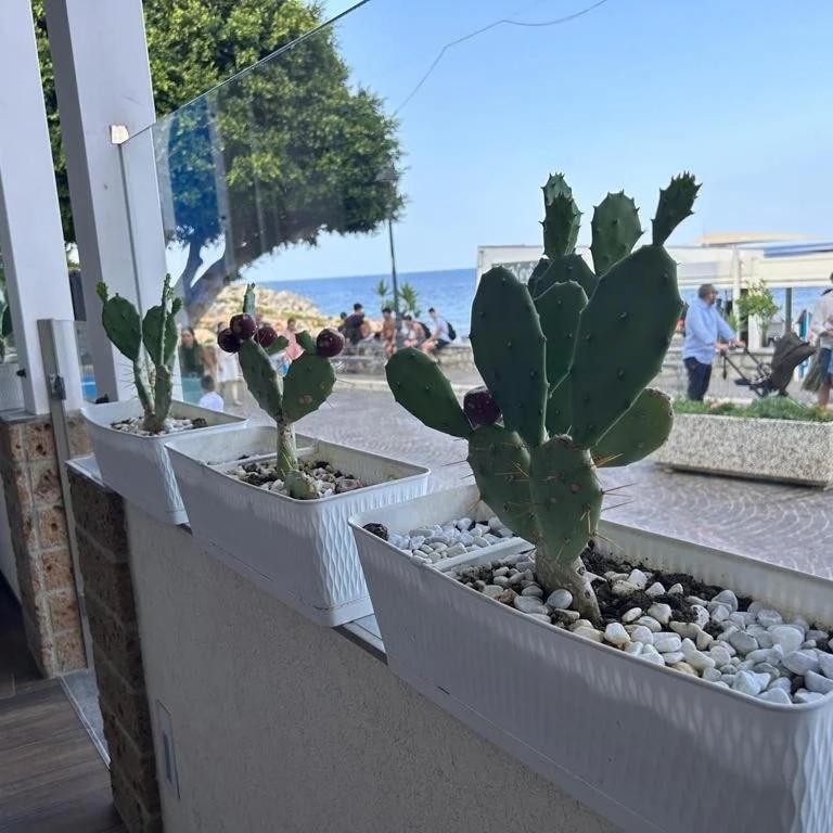 Seahouse Casa vacanze Studiocantieri - Ferienhaus - 19