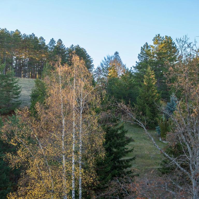 Apartman VIWA - Prestige Forest Zlatibor - Two-Bedroom Apartment with Mountain View - 14
