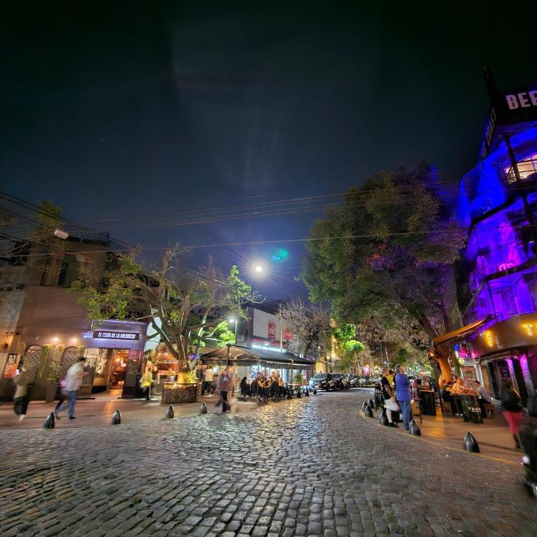 Moderno y equipado departamento en Palermo Soho - Apartamento de 1 dormitorio - 23