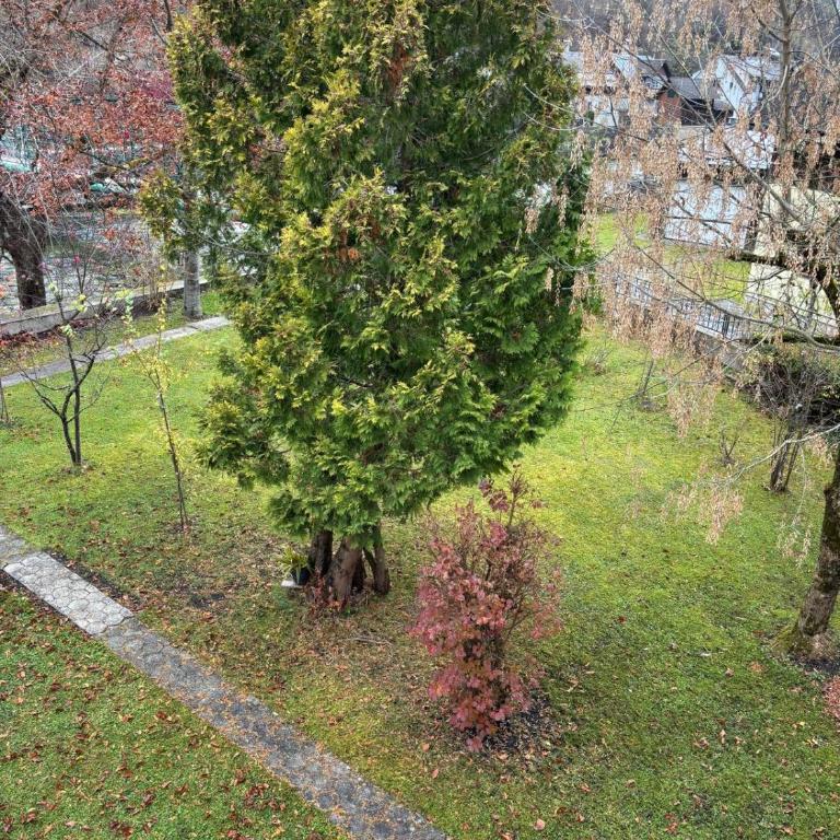Ferienwohnung Hakuna Matata - Three-Bedroom Apartment - 25