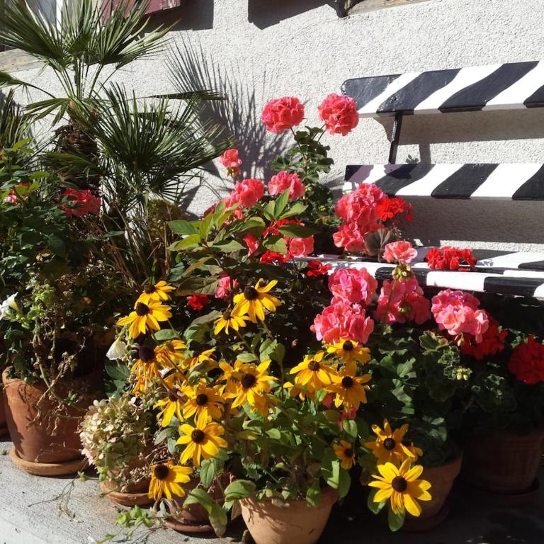 Flowerpot Apartment - Apartment mit 2 Schlafzimmern - 3