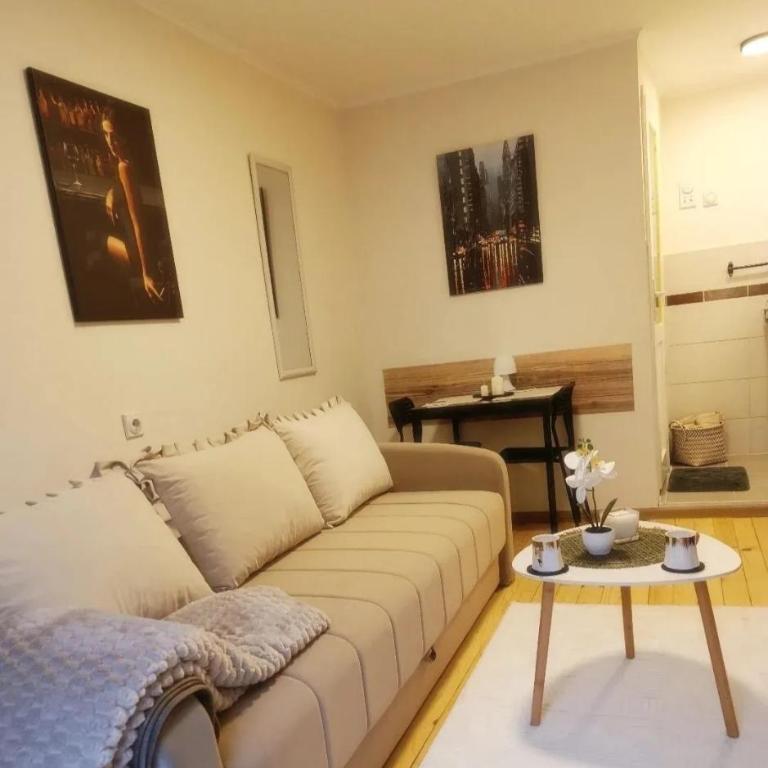 Studio Sanja - Apartman sa 1 Spavaćom Sobom - 2