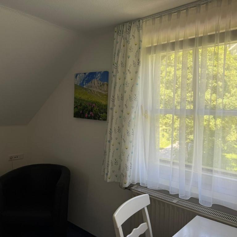 Appartements Wieseneck - Ferienwohnungen mit Bergblick - inklusive Schladming Dachstein Card! - Studio mit Bergblick - 17