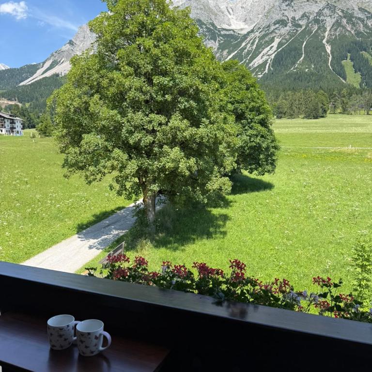 Appartements Wieseneck - Ferienwohnungen mit Bergblick - inklusive Schladming Dachstein Card! - Studio mit Bergblick - 15