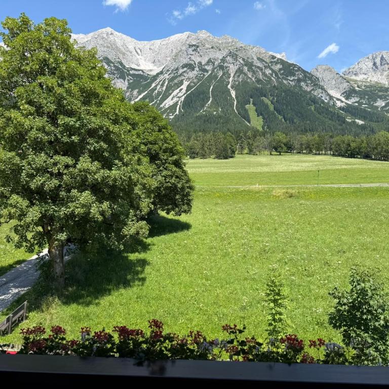 Appartements Wieseneck - Ferienwohnungen mit Bergblick - inklusive Schladming Dachstein Card! - Studio mit Bergblick - 2