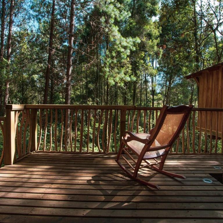 Casa árbol élite de Colombia - Chalet de 1 dormitorio - 14
