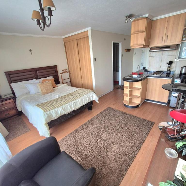 Bello Homestudio frente al Casino Marina del Sol - Apartamento de 1 dormitorio - 12