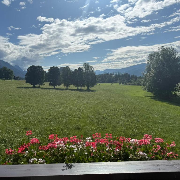 Appartements Wieseneck - Ferienwohnungen mit Bergblick - inklusive Schladming Dachstein Card! - Apartment mit Blick auf die Berge - 5