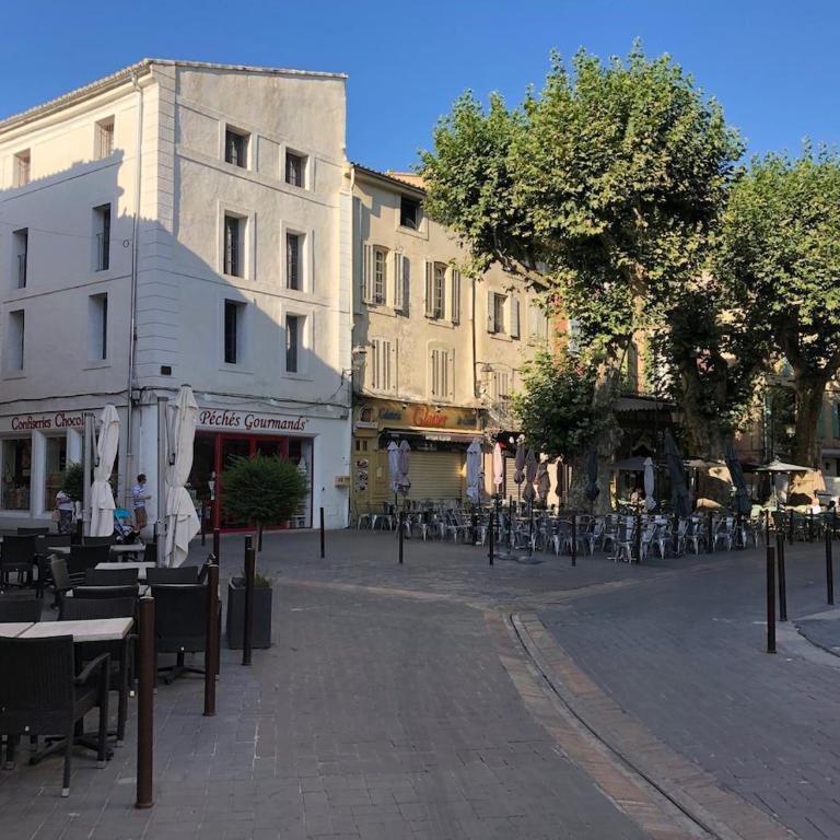 Magnifique appartement au cœur de la Venise Provençale - One-Bedroom Apartment - 12