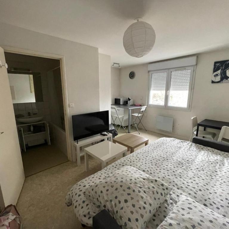 Studio 20m2 stationnement gratuit wifi 4 rue proudhon - Apartamento de 1 dormitorio - 12